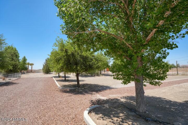 245 Hurt Road, Radium Springs, New Mexico image 11