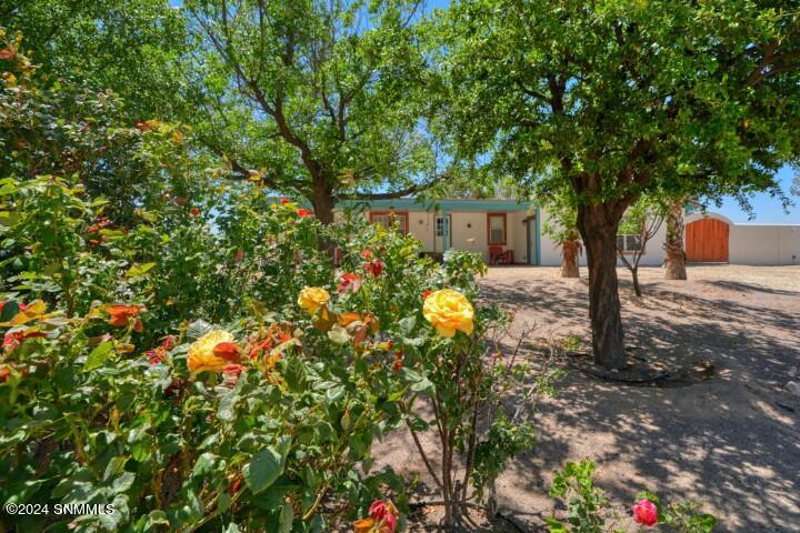 245 Hurt Road, Radium Springs, New Mexico image 6