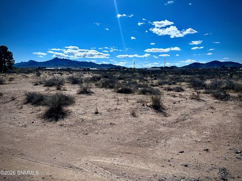 Vacant Land For Sale - 1955 Hot Peppers Road<br/> Chaparral, NM 88081