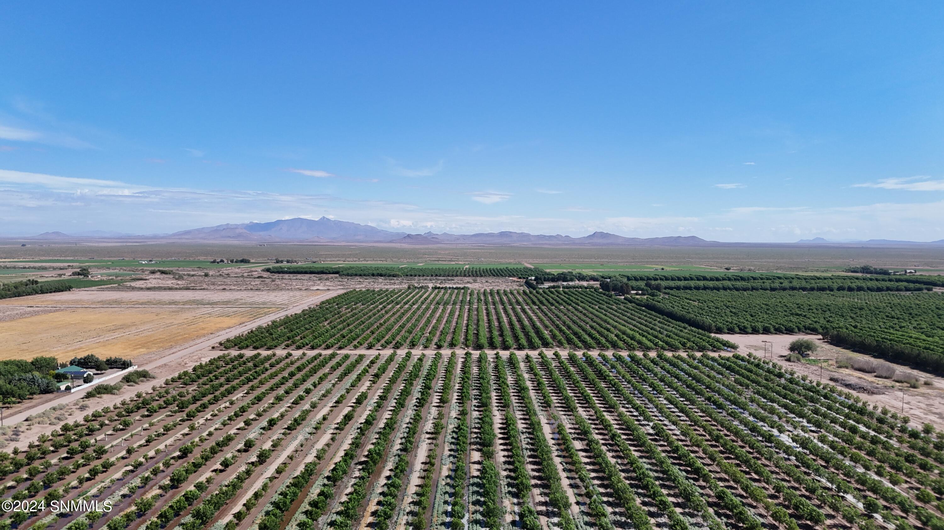 TBD Grulla Mountain Rd Se #BLOCK 3 LOT 2, Deming, New Mexico image 16