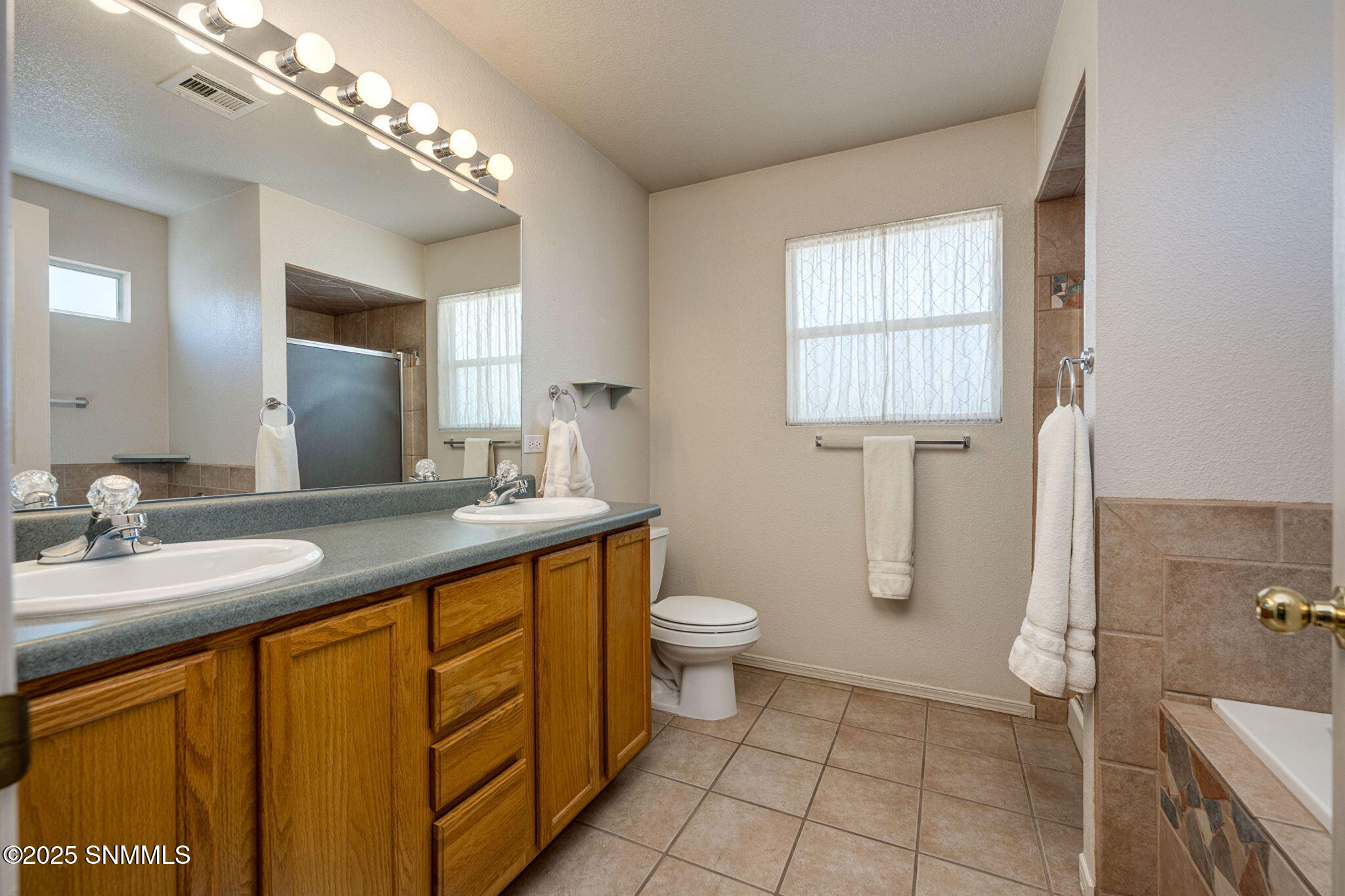 910 Jasmine Drive, Las Cruces, New Mexico image 20