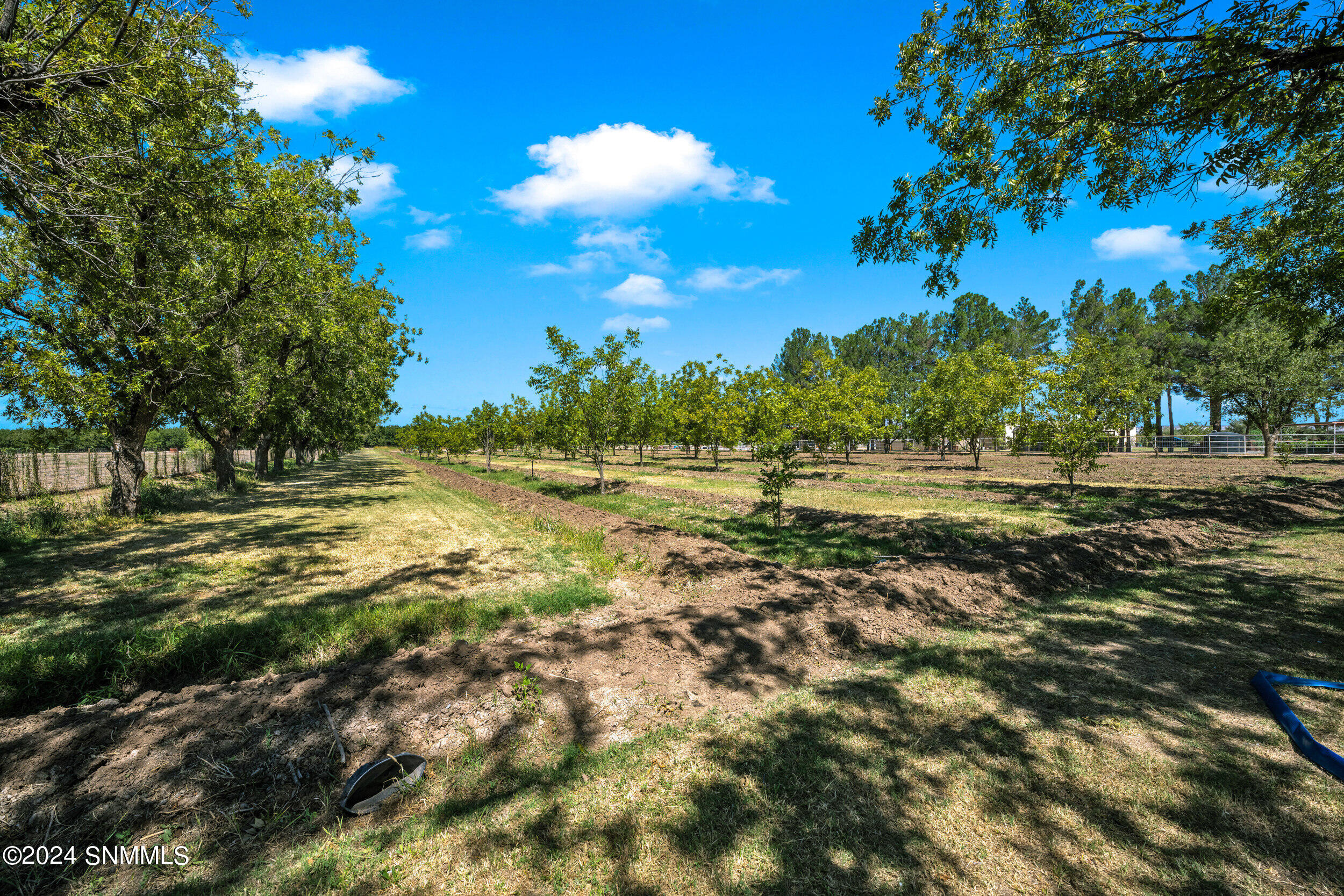 1015 Lister Drive, La Mesa, New Mexico image 4