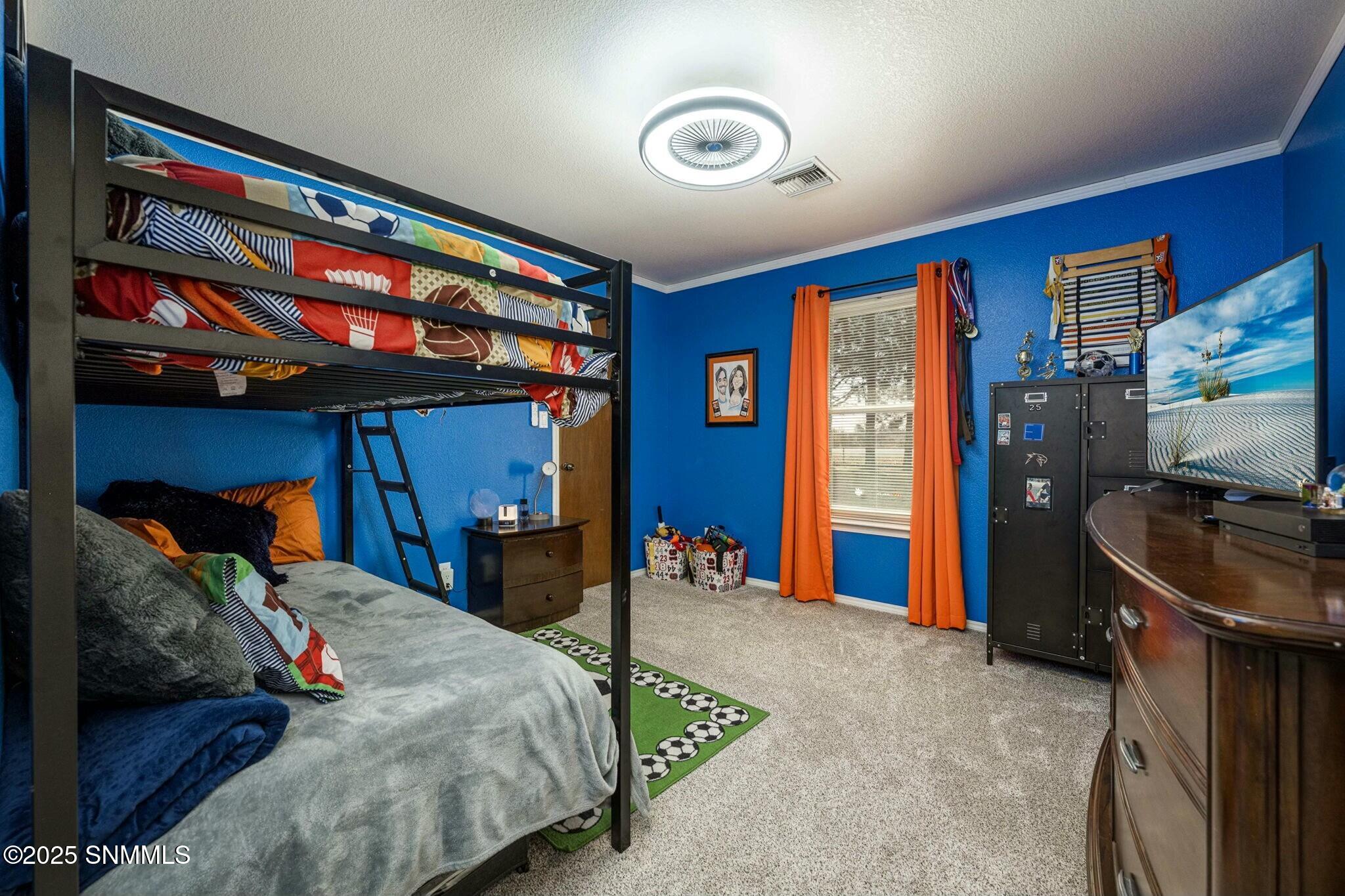 4300 N Valley Drive, Las Cruces, New Mexico image 42