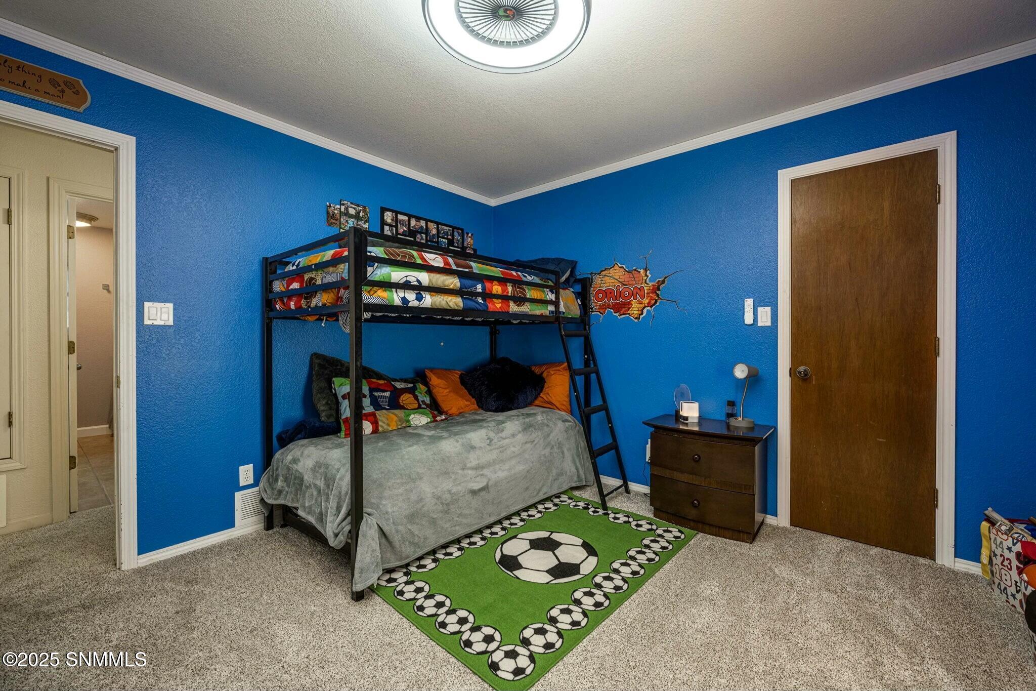 4300 N Valley Drive, Las Cruces, New Mexico image 43