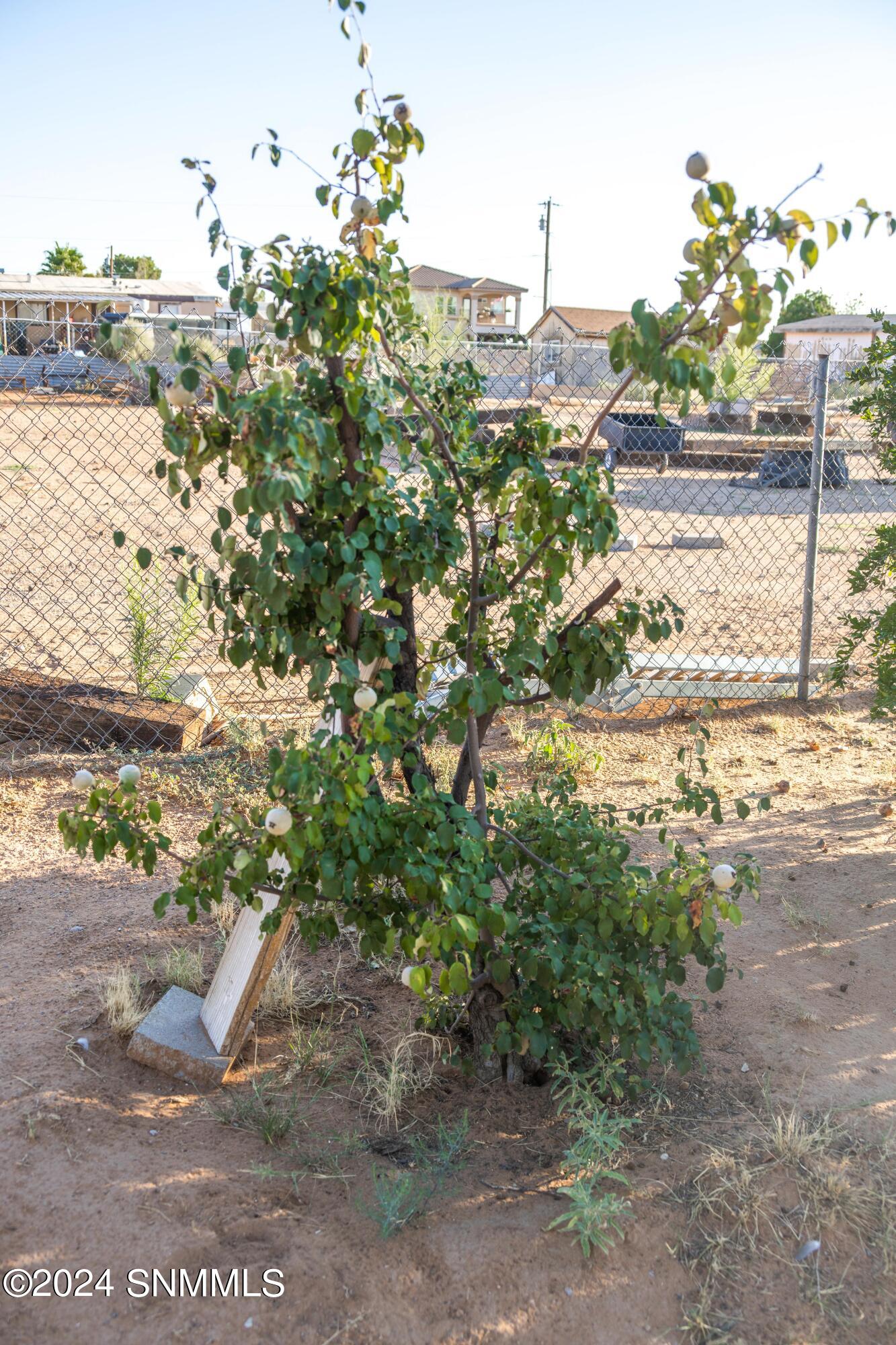 4855 Porter Drive, Las Cruces, New Mexico image 28