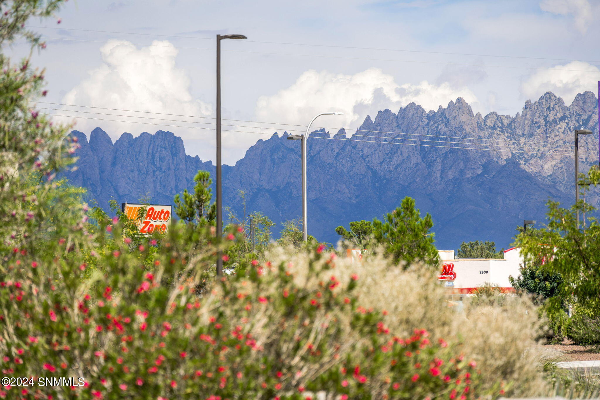 Las Cruces, New Mexico 88005, United States, 3 Bedrooms Bedrooms, ,2 BathroomsBathrooms,Residential,Pending,47621