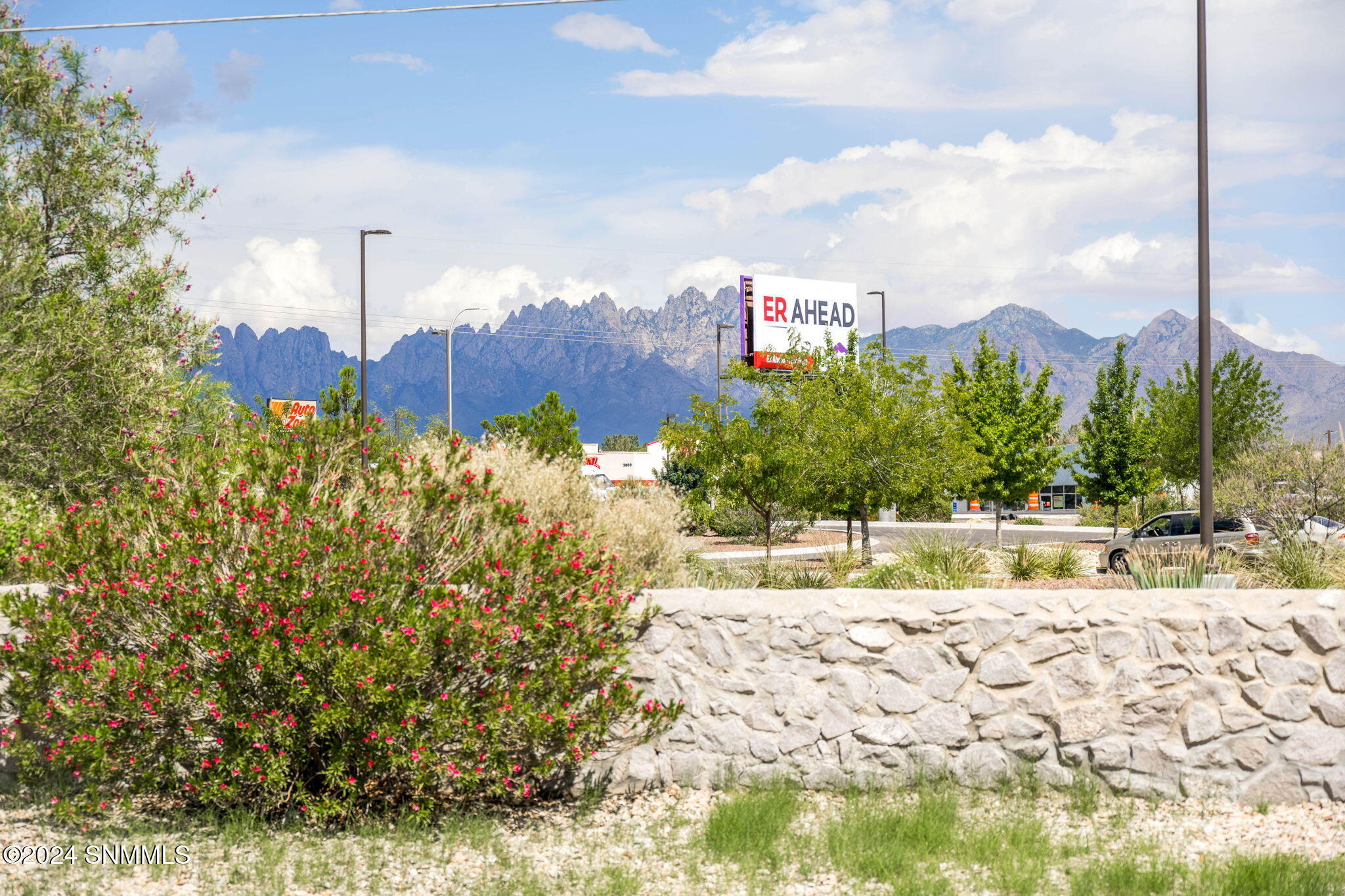 Las Cruces, New Mexico 88005, United States, 3 Bedrooms Bedrooms, ,2 BathroomsBathrooms,Residential,Pending,47621