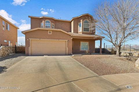 4731 Diamante Court, Las Cruces, NM 88012 - #: 2500420