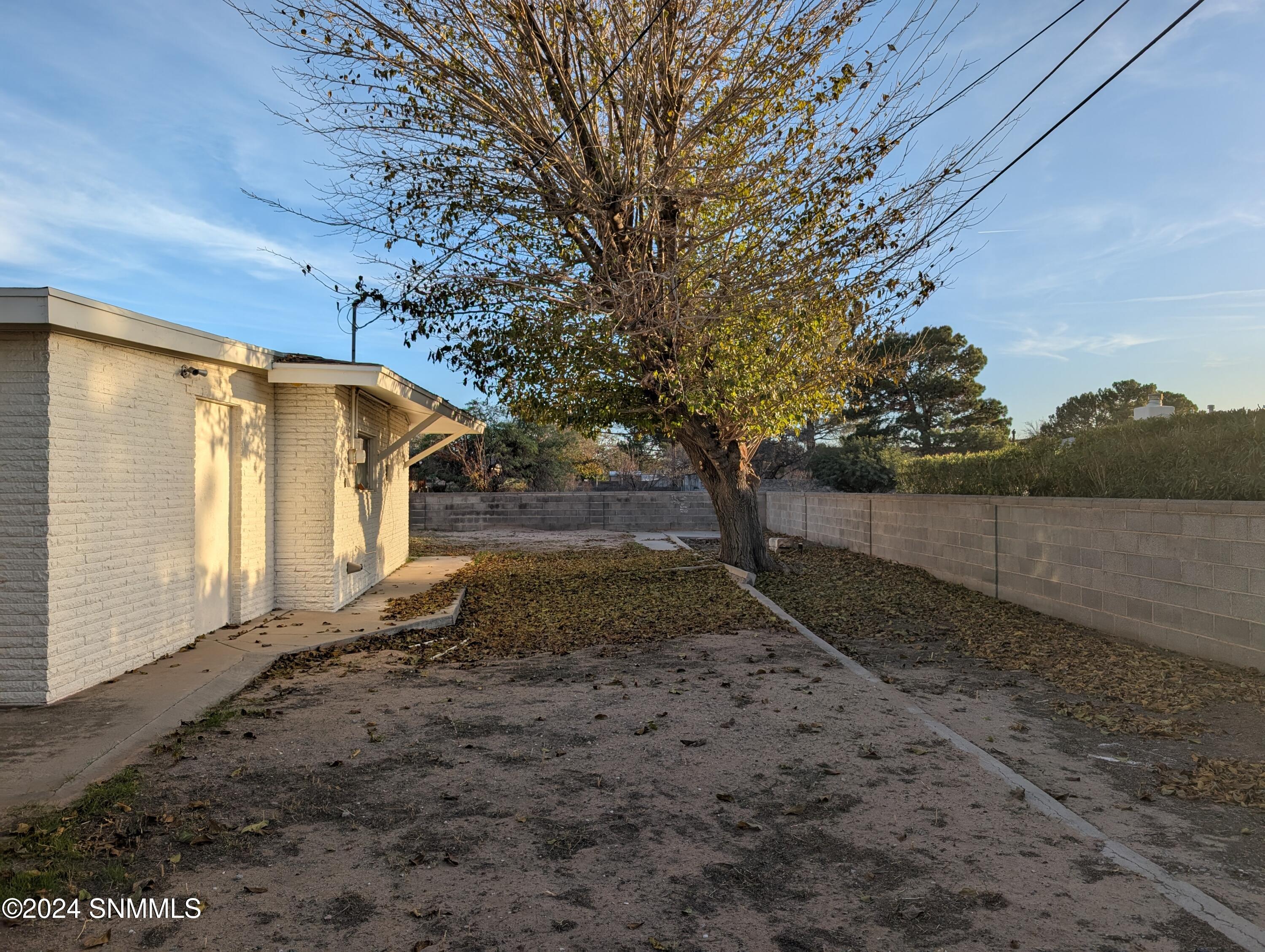 2907 Devendale Avenue, Las Cruces, New Mexico image 15