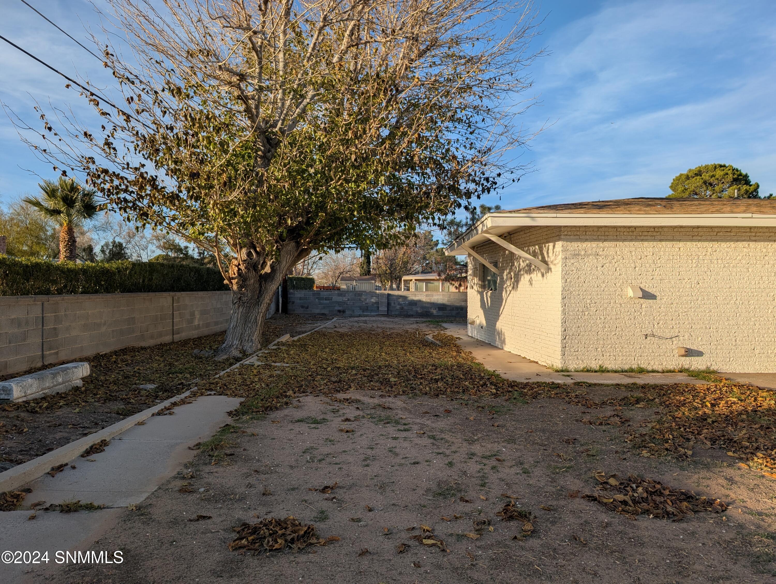 2907 Devendale Avenue, Las Cruces, New Mexico image 7