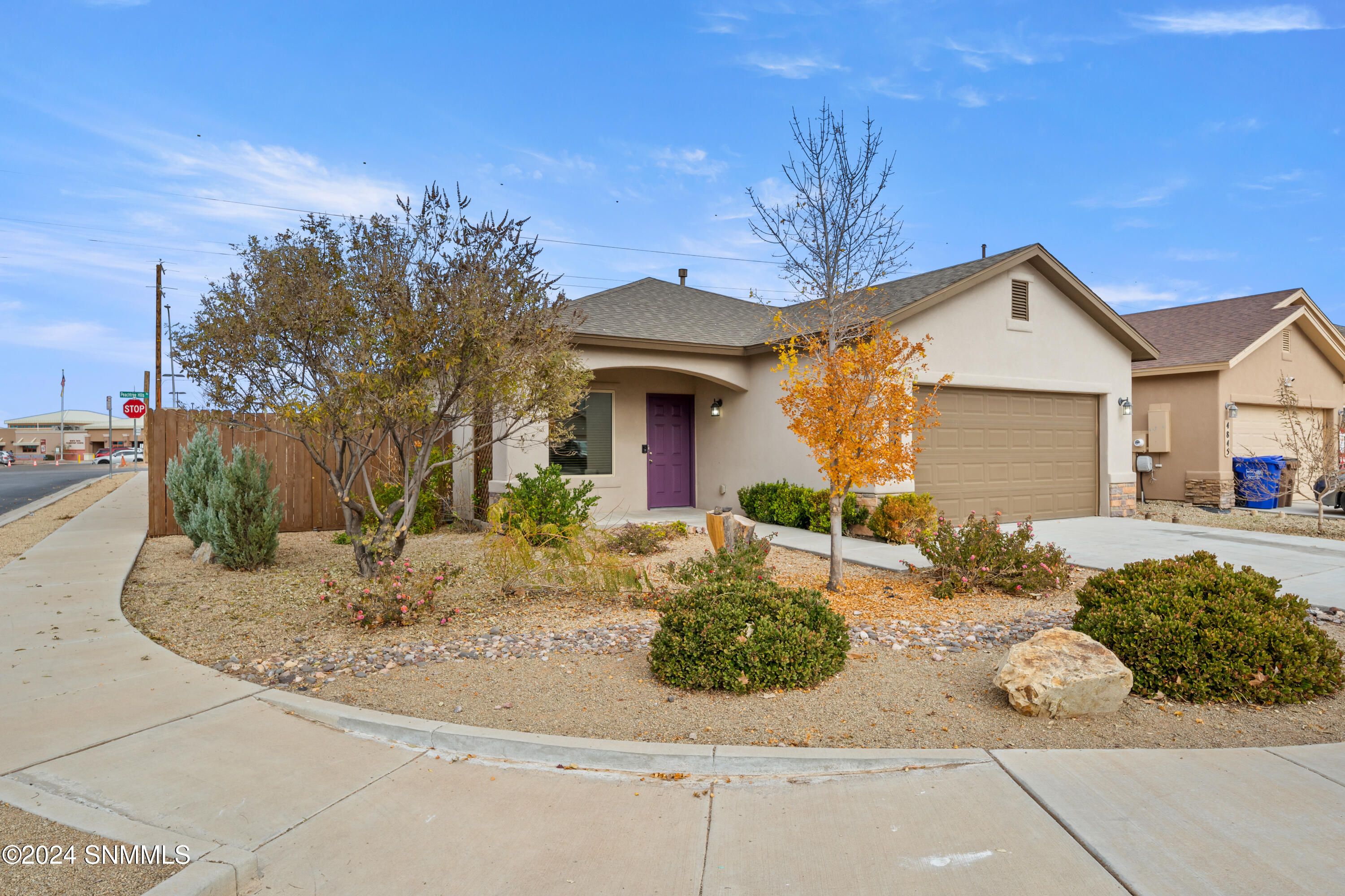 4841 Califa Avenue, Las Cruces, New Mexico image 3