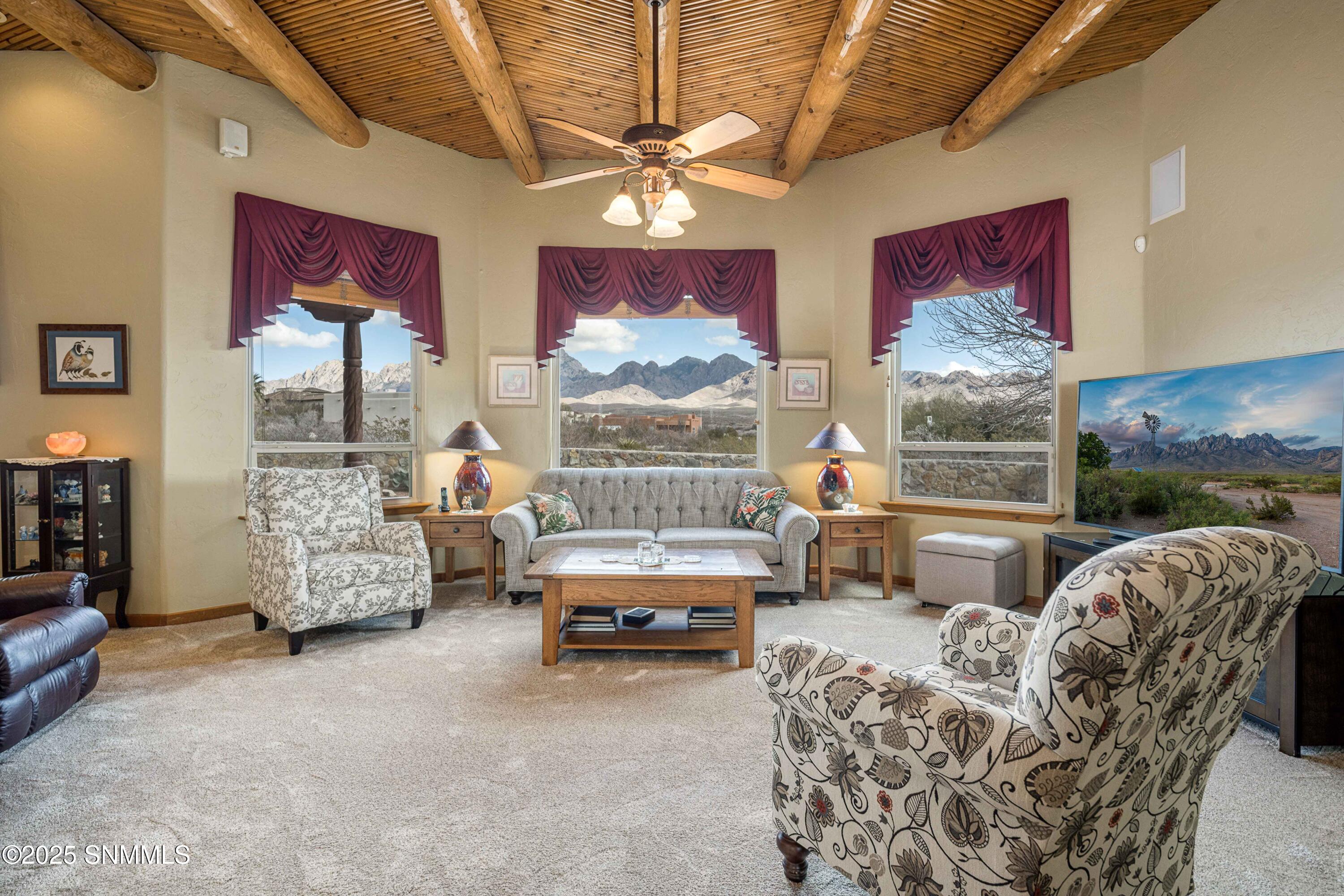 8914 Apache Plume Court, Las Cruces, New Mexico image 12