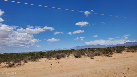 Vacant Land For Sale - 40 Tasmania Avenue<br/> Las Cruces, NM 88012