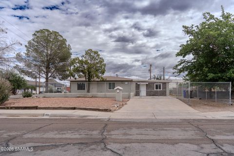 Homes For Sale - 801 Chaparro Street<br/> Dona Ana County, Las Cruces, NM 88001