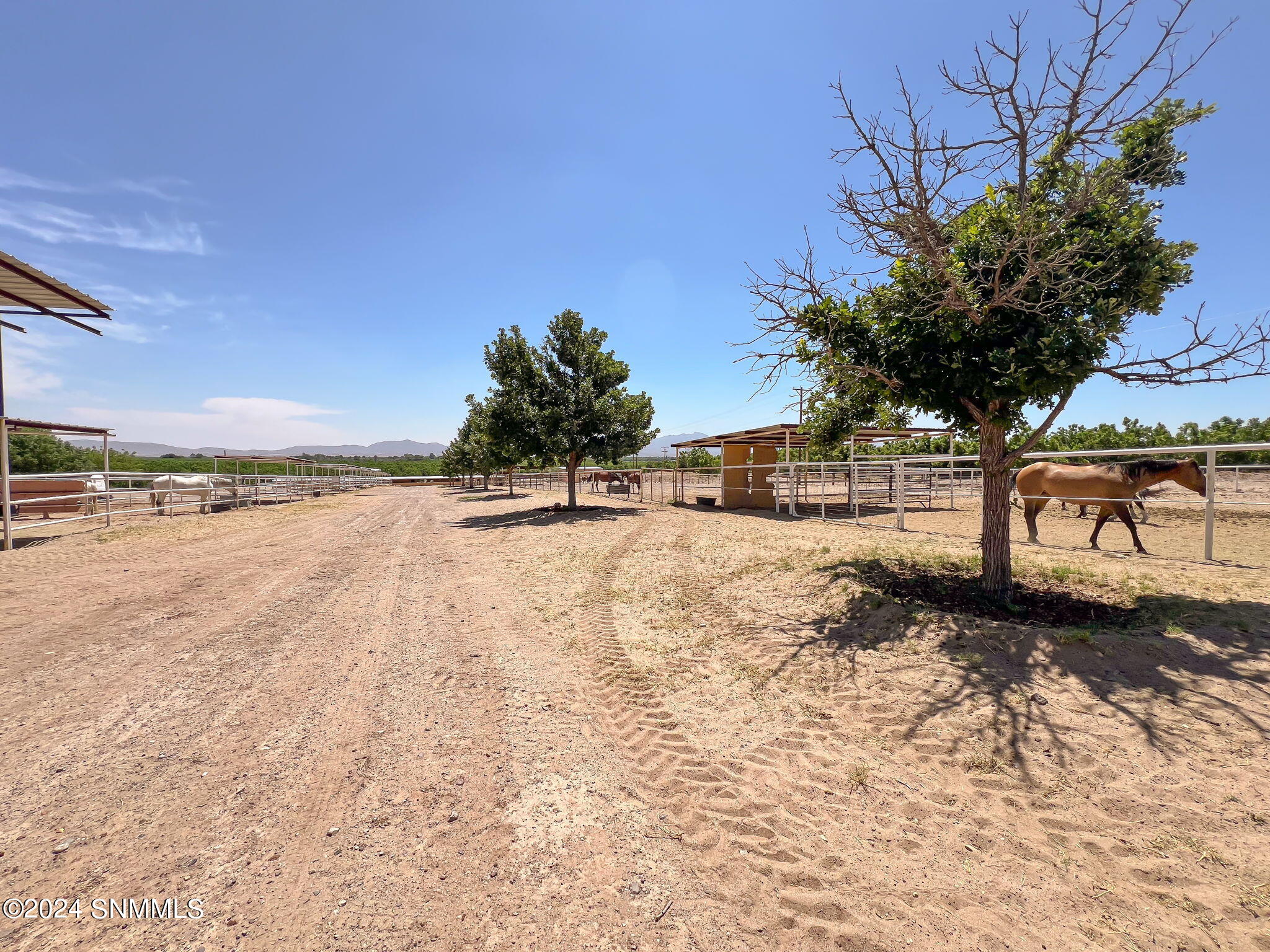 1020 Ranch Road, Anthony, New Mexico image 49