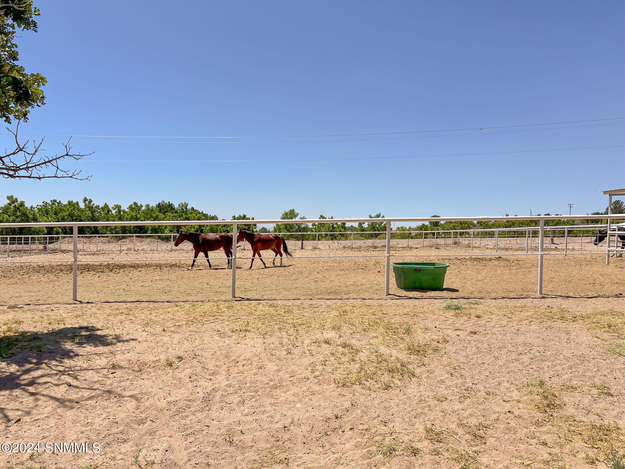 1020 Ranch Road, Anthony, New Mexico image 48