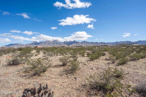 Vacant Land For Sale - 7911 Dripping Springs Road<br/> Dona Ana County, Las Cruces, NM 88011