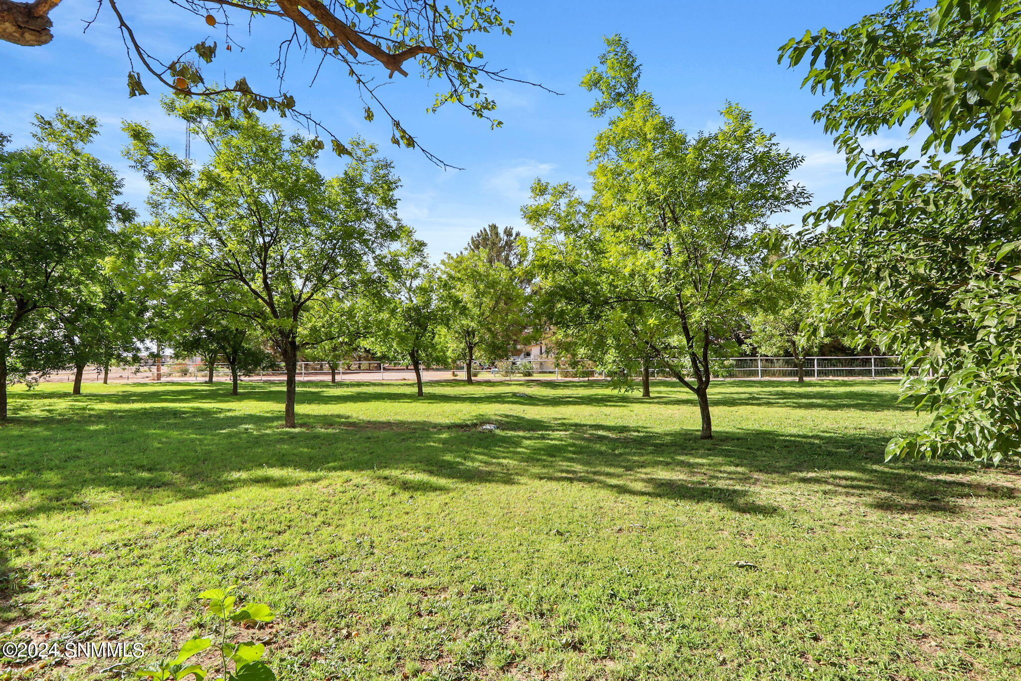 850 County Road B-010, La Mesa, New Mexico image 45