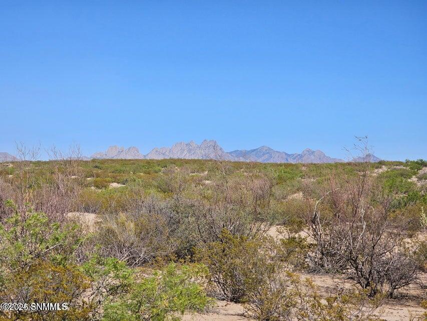 Las Cruces, New Mexico 88012, United States, ,Land,Active,173834