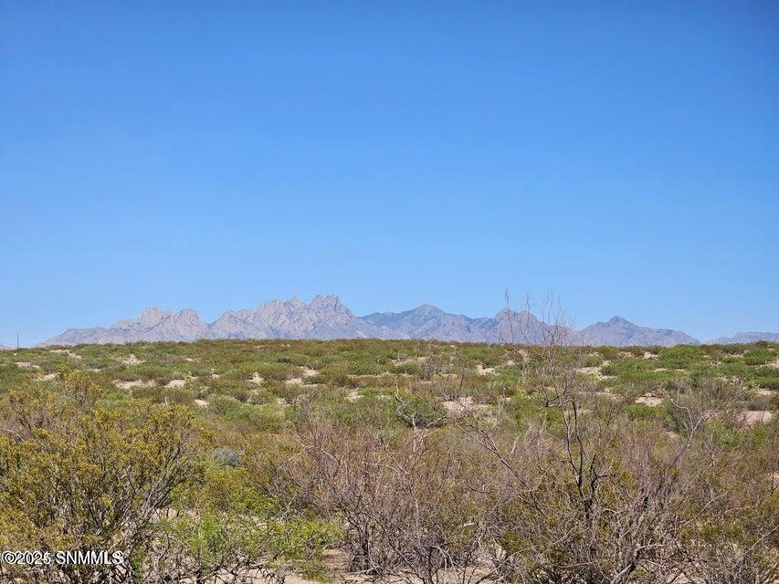 Las Cruces, New Mexico 88012, United States, ,Land,Active,173834
