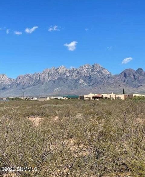 Vacant Land For Sale - 8883 Soledad Canyon Road<br/> Las Cruces, NM 88011