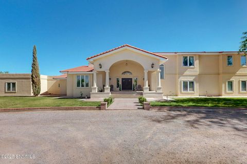 765 Pedro Madrid Road, Las Cruces, NM 88007 - #: 2501279