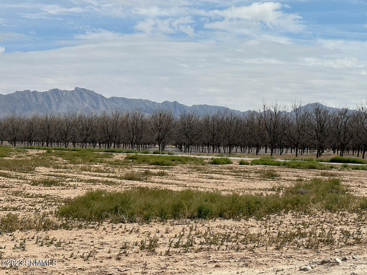 430 Gannet Road, Anthony, New Mexico image 5