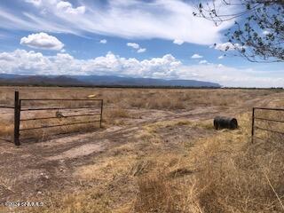 63 S Bookout Road, Tularosa, New Mexico image 4