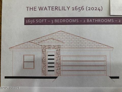 926 Gallium Ave., Sunland Park, NM 88063 - #: 2500996