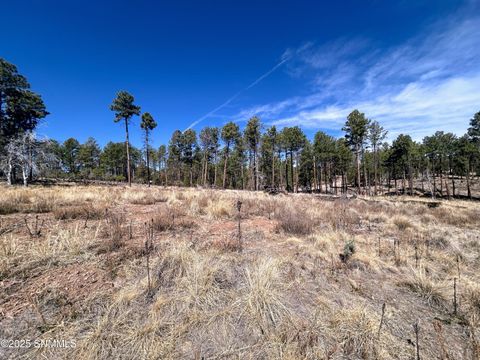 Vacant Land For Sale - 31 Bahamas Drive<br/> Cloudcroft, NM 88317