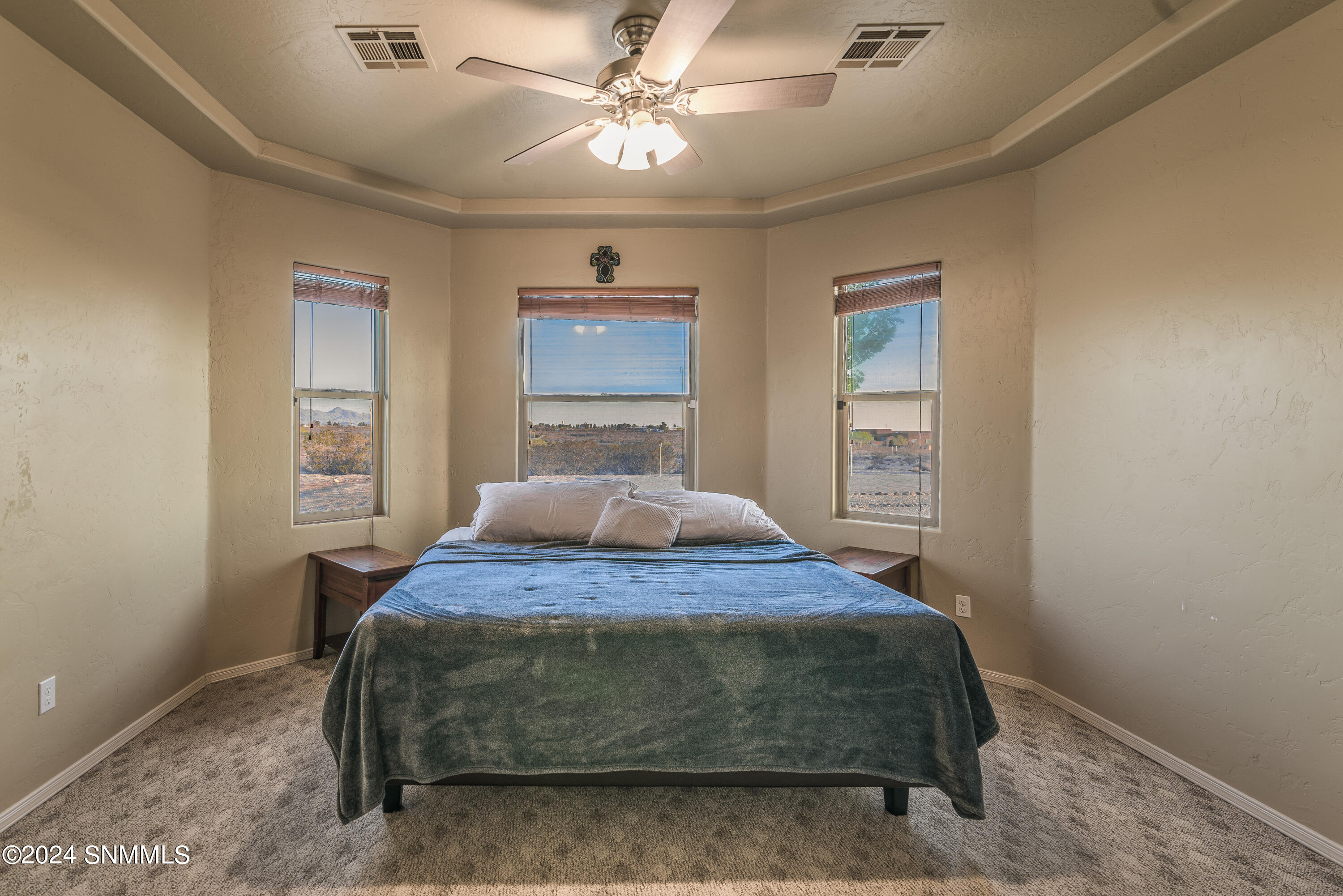 209 Vista Del Rey Drive, Vado, New Mexico image 34