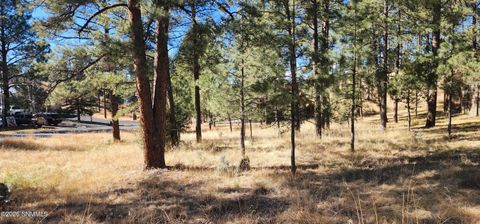 Vacant Land For Sale - 604 White Mountain Meadows Drive<br/> Ruidoso, NM 88345