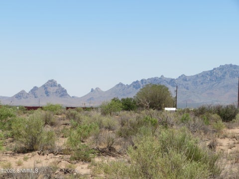 Vacant Land For Sale - TBD SW Durango Road<br/> Luna County, Deming, NM 88030