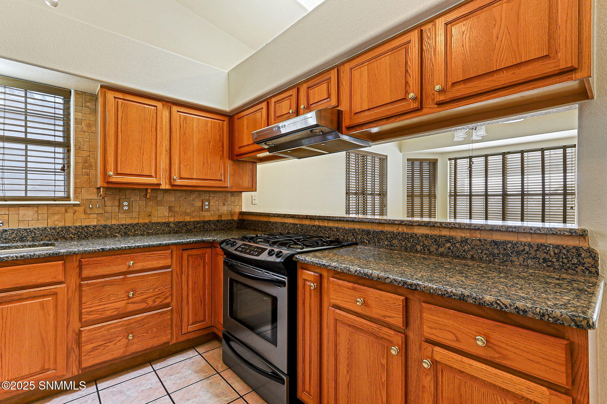 1012 Fran Drive, Las Cruces, New Mexico image 42