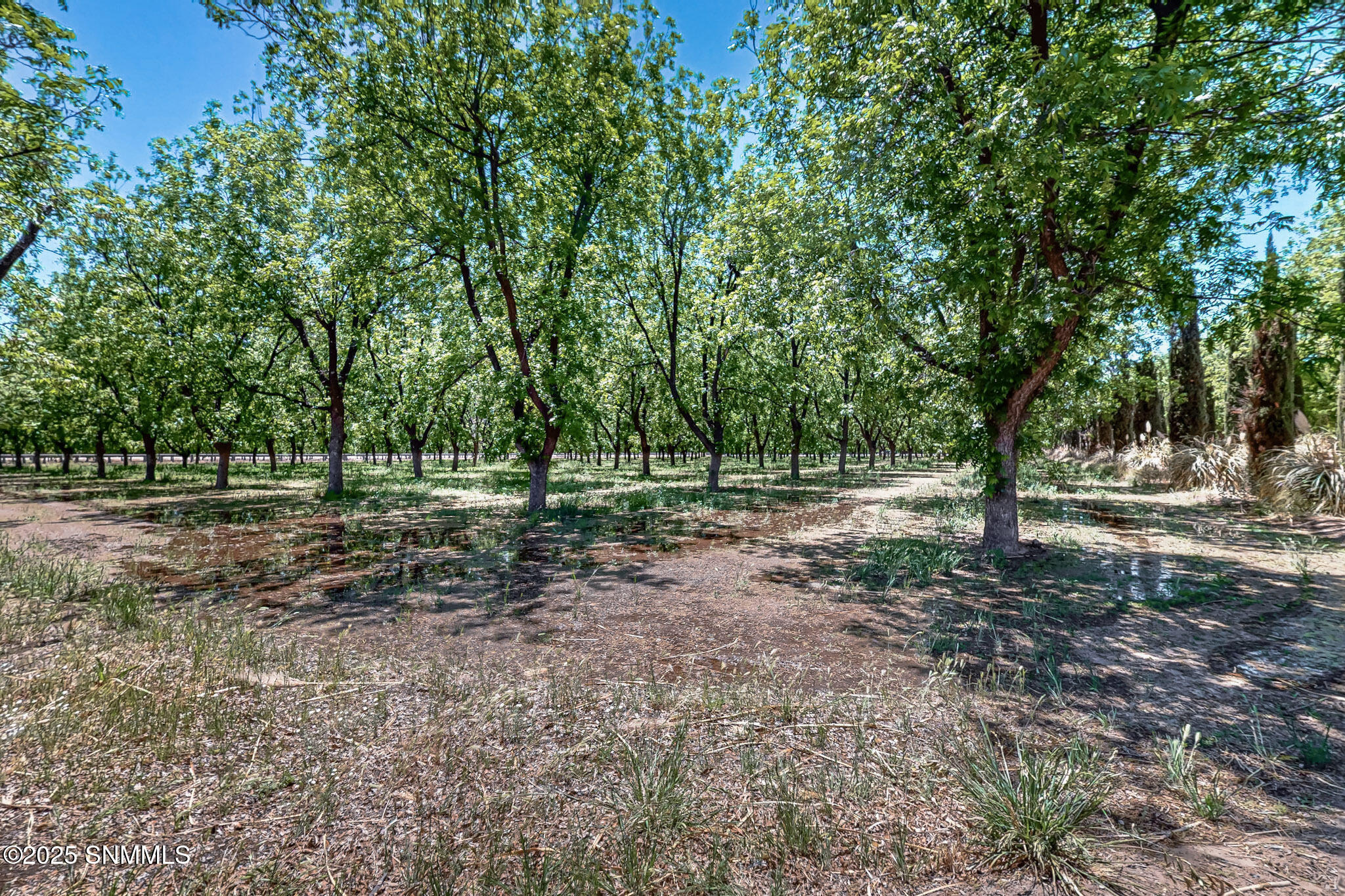 4645 Snow Road, Las Cruces, New Mexico image 45