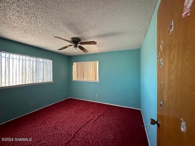 108 Hendrich Road, Chaparral, New Mexico image 12