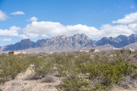 Vacant Land For Sale - 7921 Dripping Springs Road<br/> Dona Ana County, Las Cruces, NM 88011