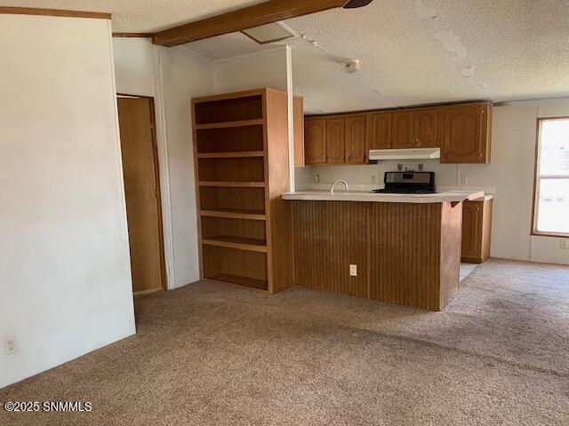 1102 Wright Avenue, Alamogordo, New Mexico image 7