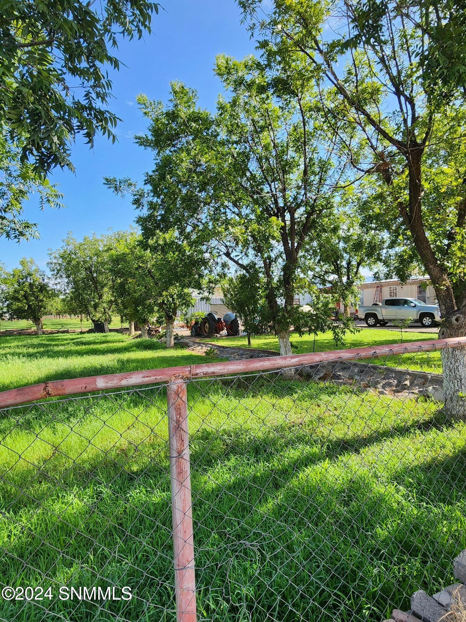 985 Yucca Road, Mesilla Park, New Mexico image 4