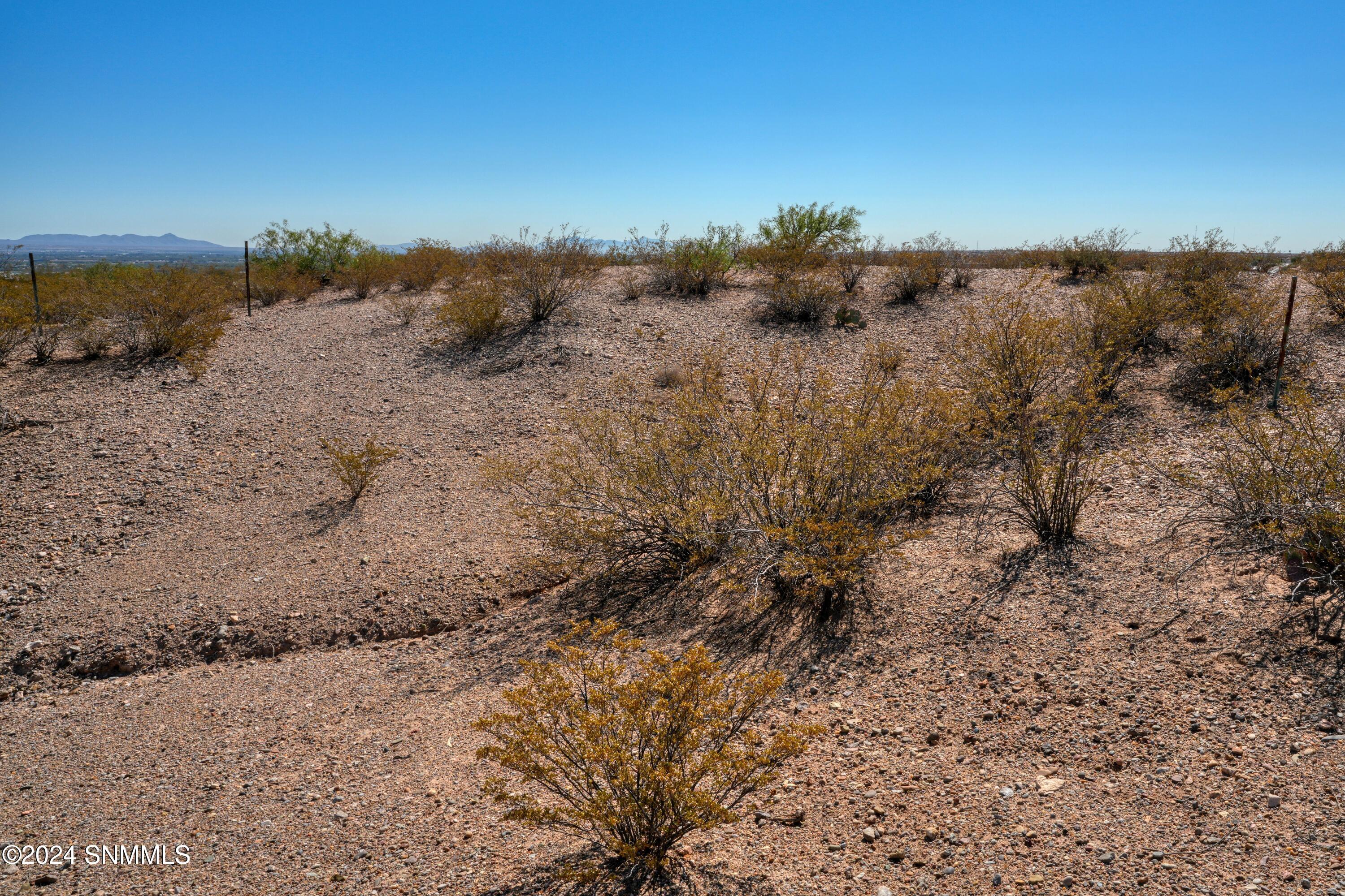 7005 Calle Arcos, Las Cruces, New Mexico image 4