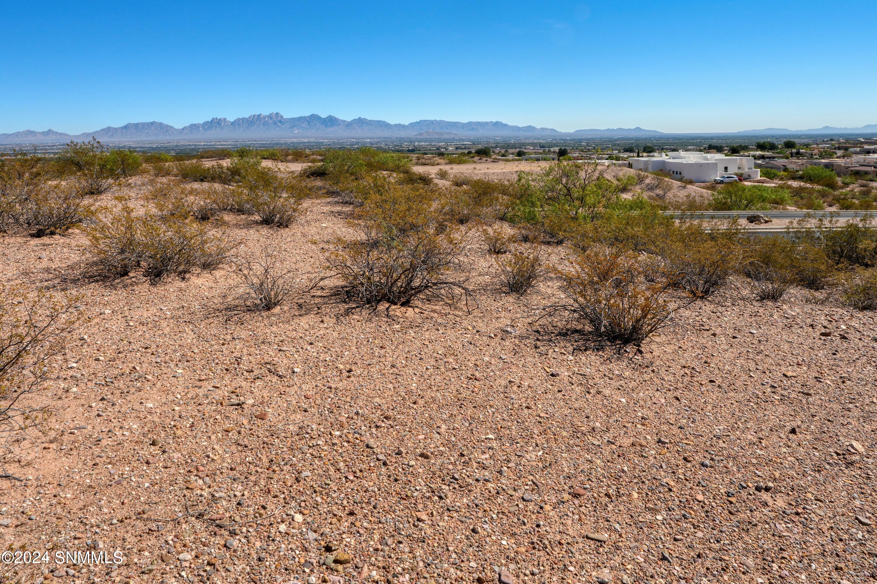 7005 Calle Arcos, Las Cruces, New Mexico image 8