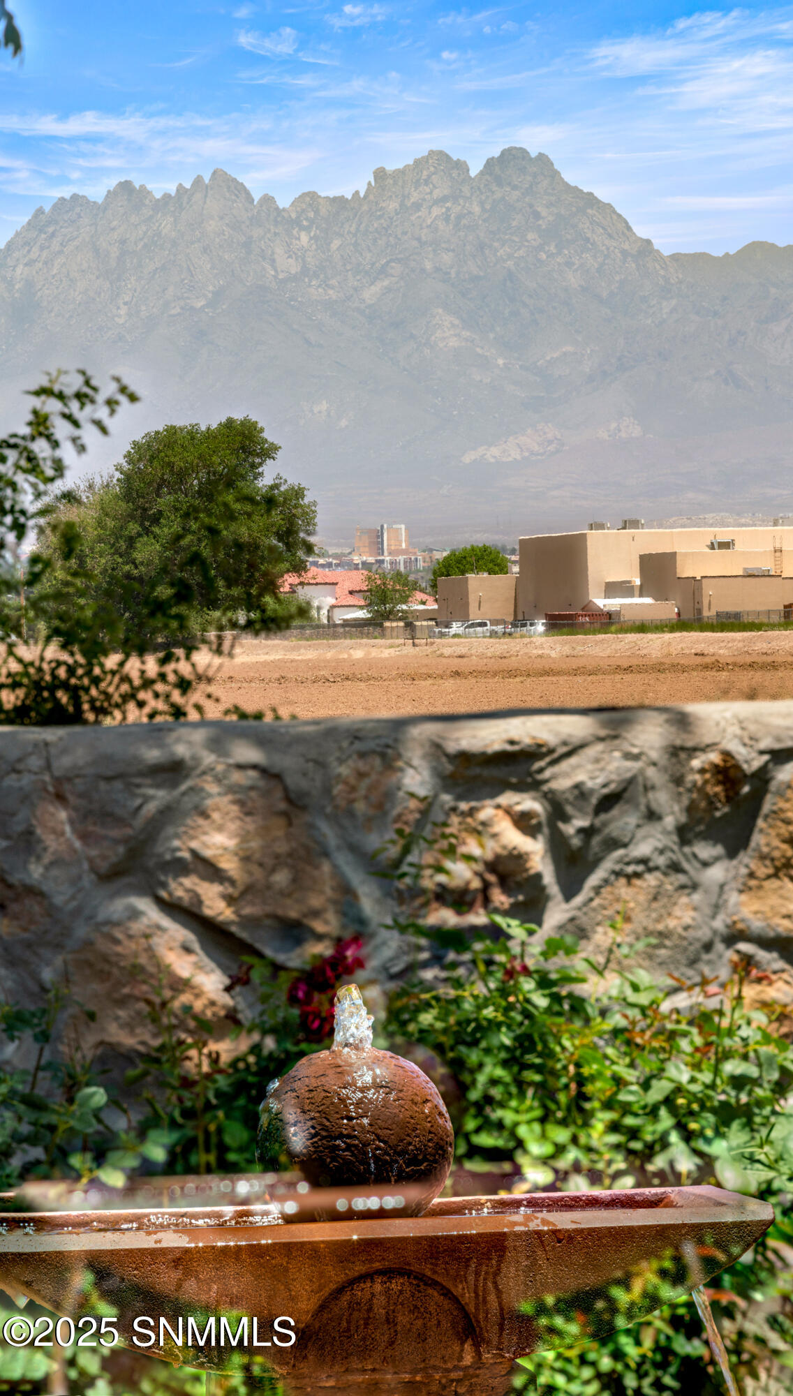 2745 Boldt Street, Las Cruces, New Mexico image 41