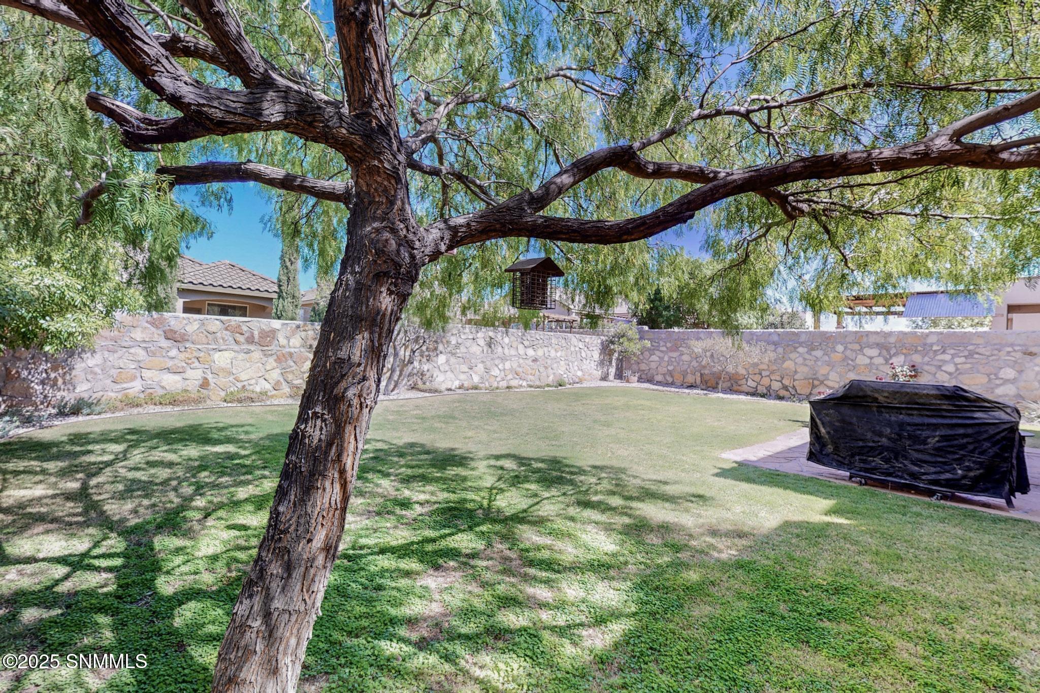4324 Calle Bonita Lane, Las Cruces, New York image 41