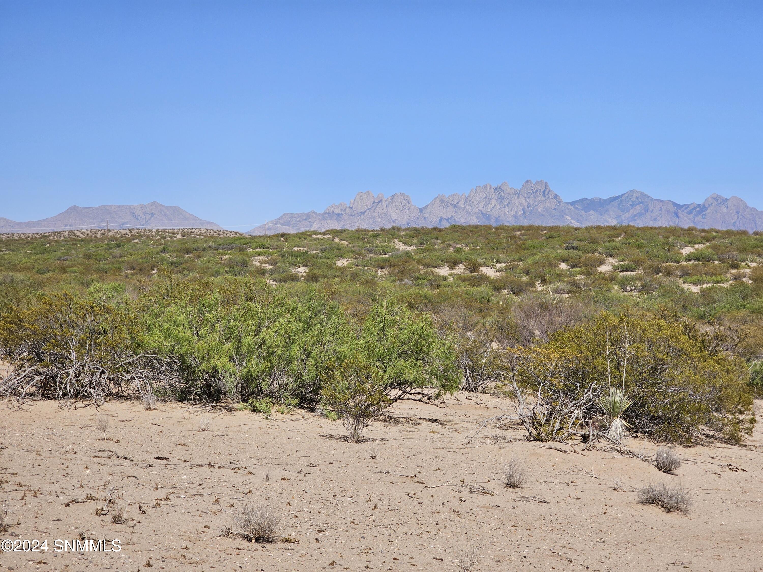 27 Tucson Avenue, Las Cruces, New Mexico image 3