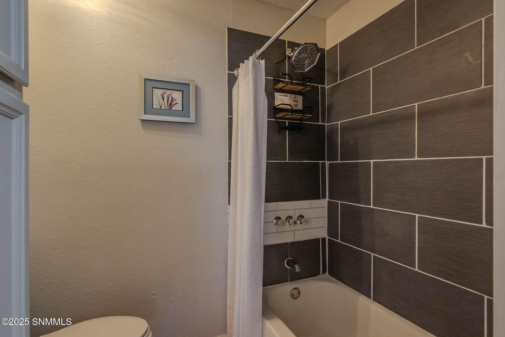 132 N Trevino Road, Santa Teresa, New Mexico image 28