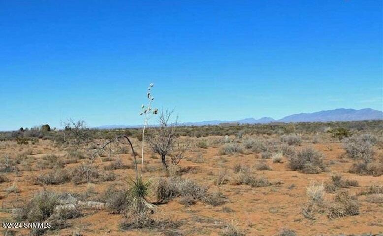 TBD Holman Road, Las Cruces, New Mexico image 12