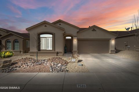 Homes For Sale - 7589 Concho Place<br/> Las Cruces, NM 88012