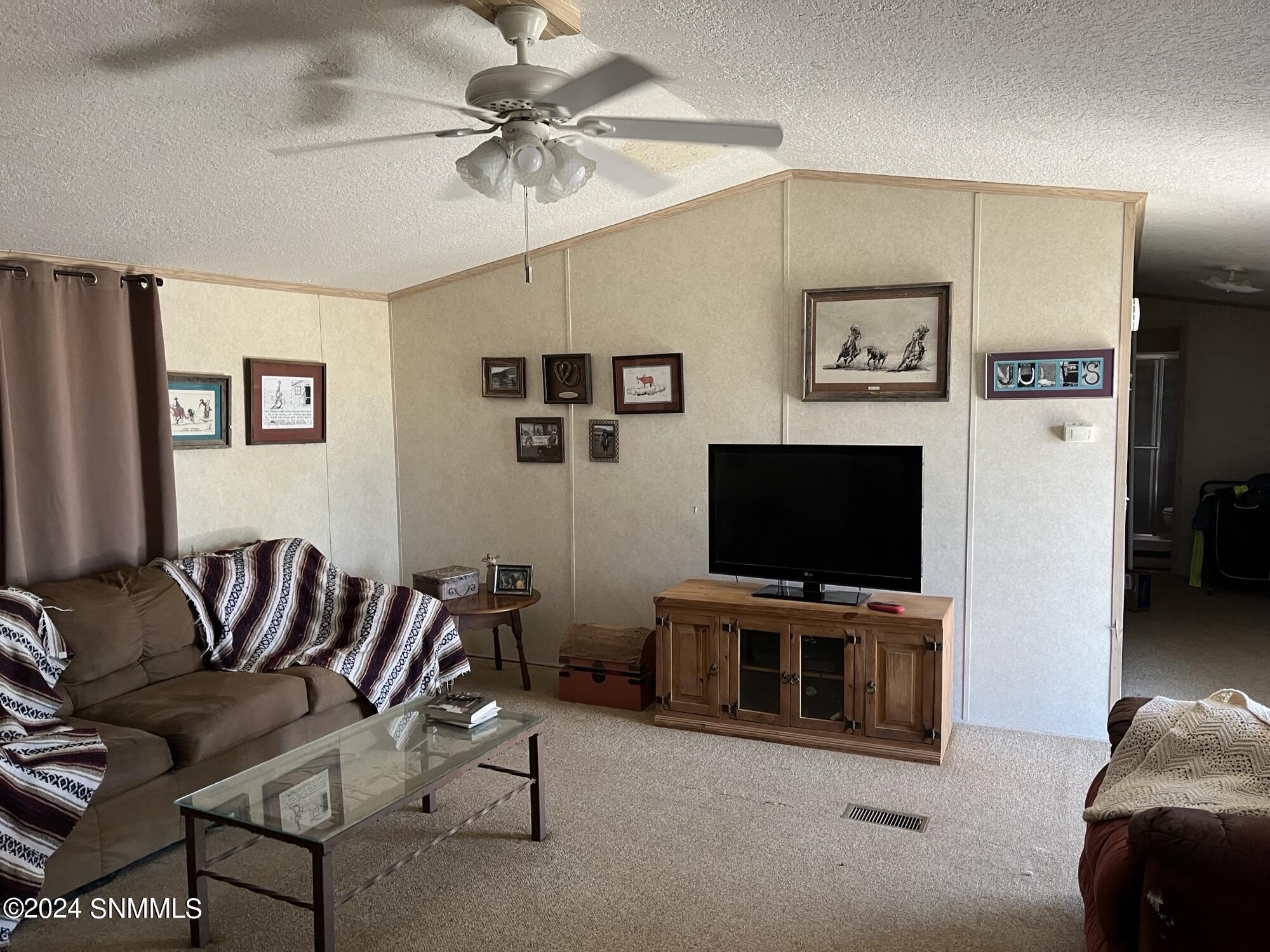 659 Fort Furlong Trail, Radium Springs, New Mexico image 19