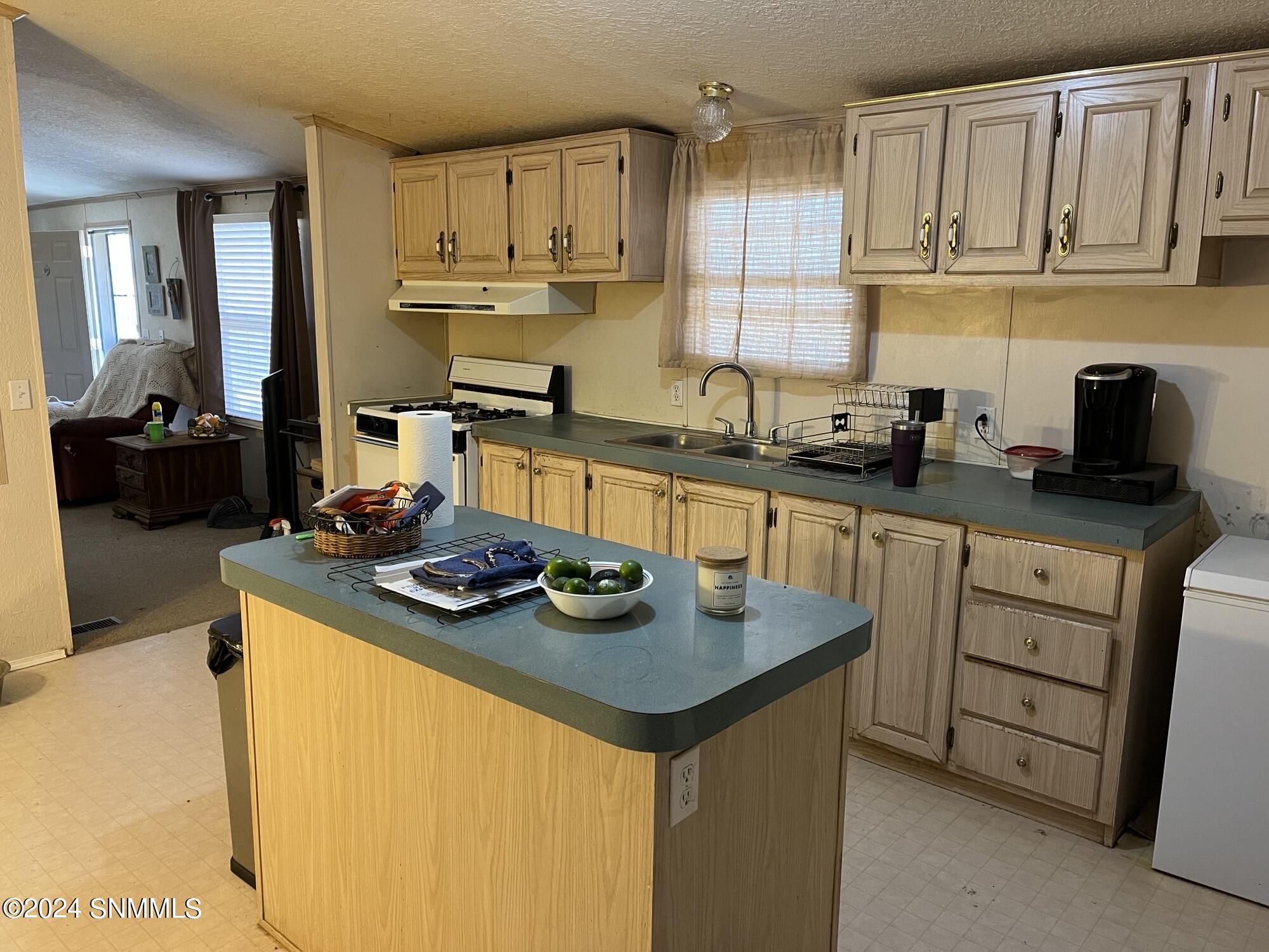 659 Fort Furlong Trail, Radium Springs, New Mexico image 21