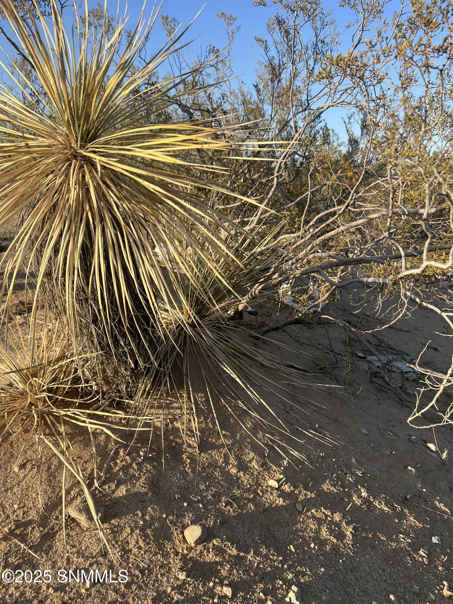 TBD Enchantment Drive, Chaparral, New Mexico image 6
